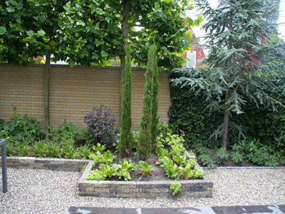 01-400-borderbakken-blaricum