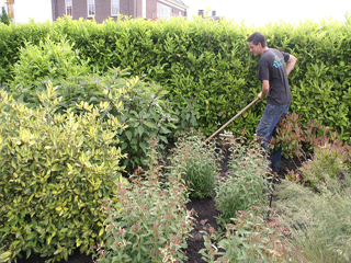 Tuinonderhoud door DECAtuinen hoveniers
