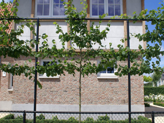 Tuinonderhoud door DECAtuinen hoveniers