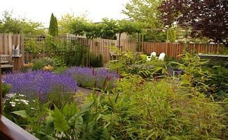 Beplantingingsplan in Naarden door DECAtuinen hoveniers