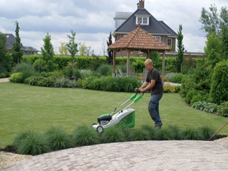 Tuinonderhoud in Almere door DECAtuinen hoveniers