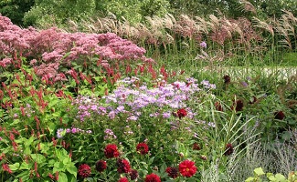 Beplantingingsplan in Naarden door DECAtuinen hoveniers