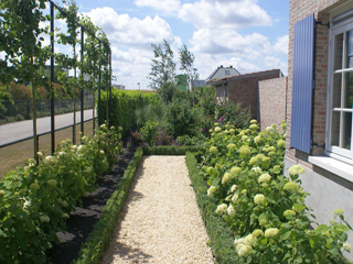 Tuinonderhoud door DECAtuinen hoveniers