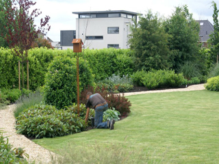 Tuinonderhoud door DECAtuinen hoveniers