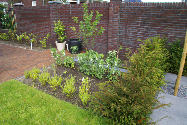 Tuin met speelgazon bij vrijstaande woning Hoveniersbedrijf DECAtuinen Almere Flevoland