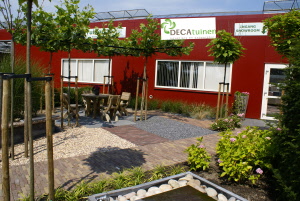 decatuinen