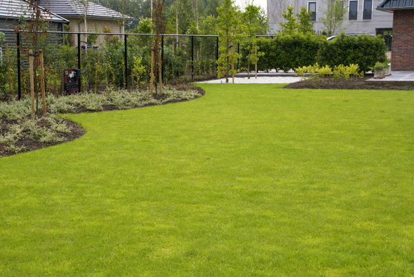 Landelijke tuin met ronde vormen Hoveniersbedrijf DECAtuinen Almere Flevoland