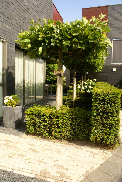 Tuin met vlonder aan het water DECAtuinen hoveniers Almere Flevoland