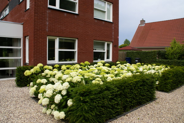 Grote, strakke, kindvriendelijke tuin met vijver, zitkuil en groot terras DECAtuinen hoveniers Almere Flevoland