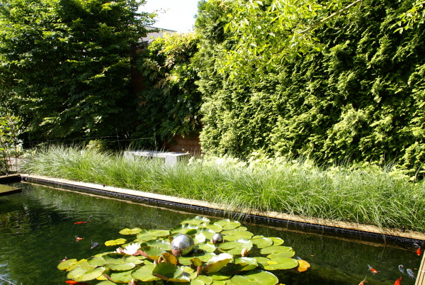 Tuin met grote vijver met hardhouten rand verschillende terrassen Hoveniersbedrijf DECAtuinen Almere Flevoland