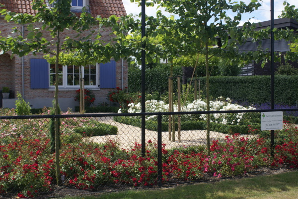 Landelijke tuin met ronde vijver en zwembad Hoveniersbedrijf DECAtuinen Almere Flevoland