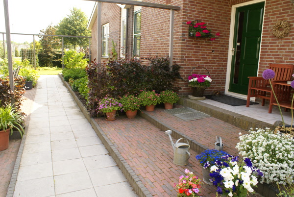 Tuin met begroeide pergola DECAtuinen hoveniers Almere Flevoland