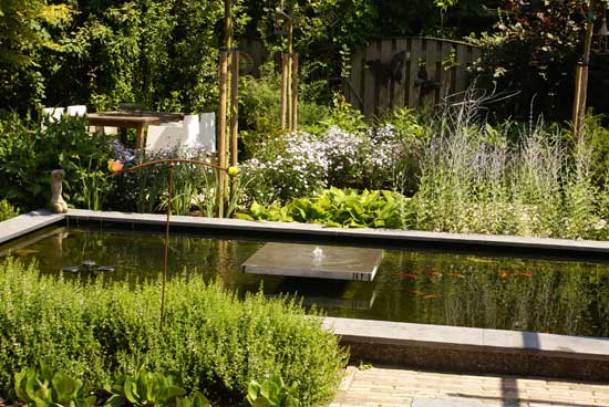 Tuin met vijver, verschillende terrassen en veel beplanting Hoveniersbedrijf DECAtuinen Almere Flevoland