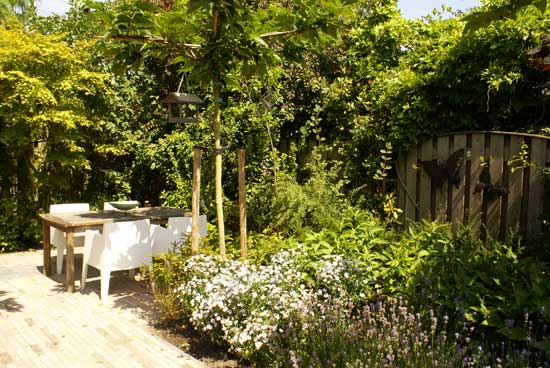 Tuin met vijver, verschillende terrassen en veel beplanting Hoveniersbedrijf DECAtuinen Almere Flevoland
