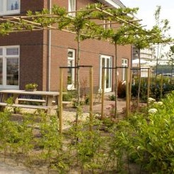 Hoveniersbedrijf DECAtuinen Almere  tuinen groter dan 500m² 